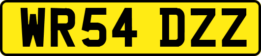 WR54DZZ