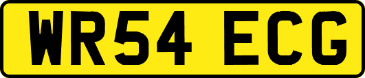 WR54ECG
