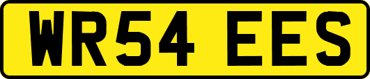 WR54EES