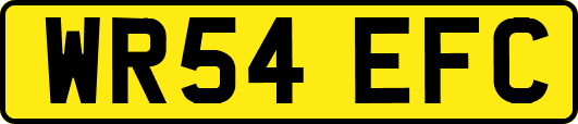 WR54EFC