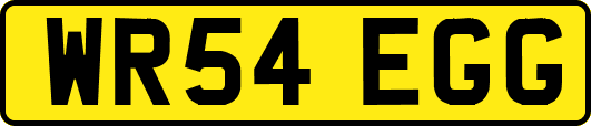WR54EGG