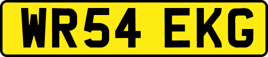 WR54EKG