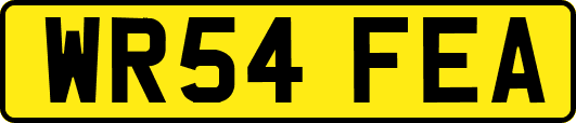 WR54FEA