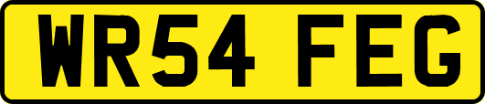 WR54FEG