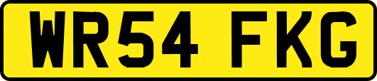 WR54FKG