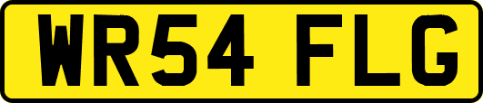WR54FLG