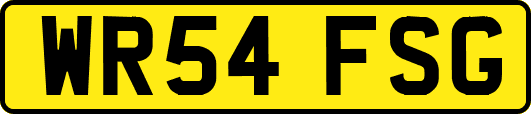 WR54FSG