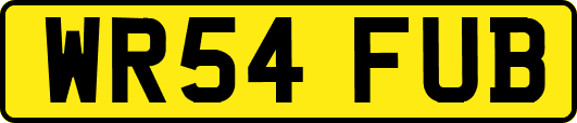 WR54FUB