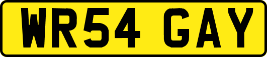 WR54GAY