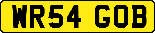 WR54GOB