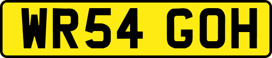 WR54GOH