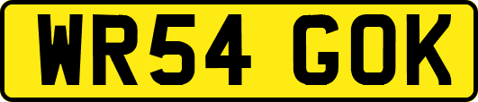 WR54GOK