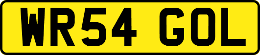 WR54GOL