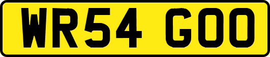 WR54GOO