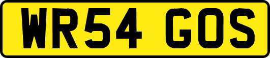 WR54GOS
