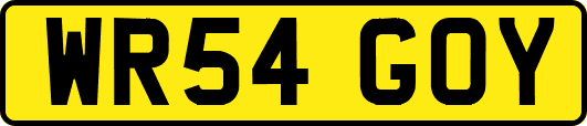 WR54GOY