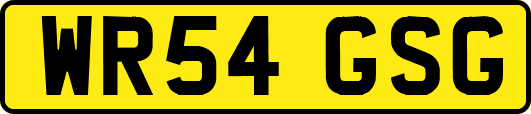 WR54GSG