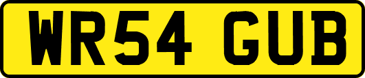 WR54GUB