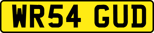 WR54GUD