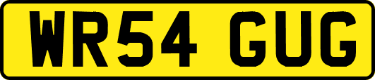 WR54GUG
