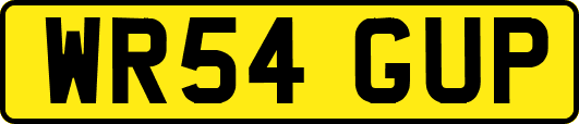 WR54GUP