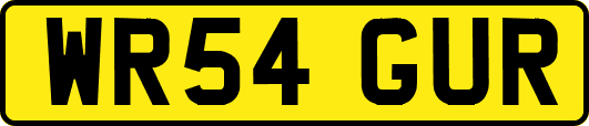 WR54GUR