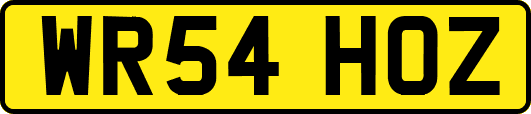 WR54HOZ