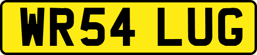 WR54LUG