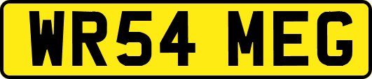 WR54MEG