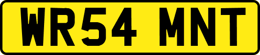 WR54MNT