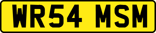WR54MSM