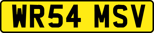 WR54MSV