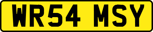 WR54MSY