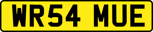 WR54MUE