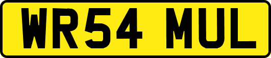 WR54MUL