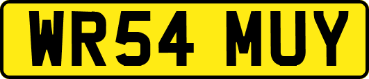 WR54MUY