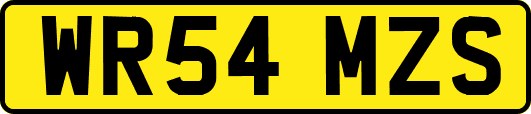 WR54MZS
