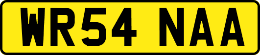 WR54NAA