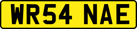 WR54NAE