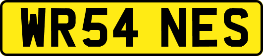 WR54NES