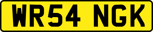 WR54NGK