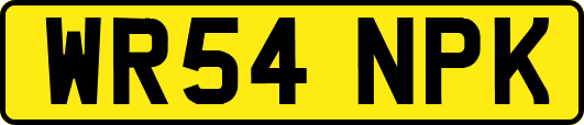 WR54NPK