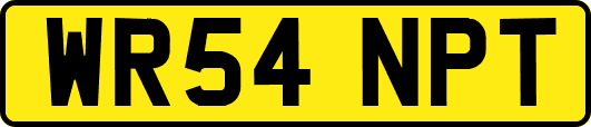 WR54NPT