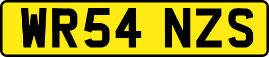 WR54NZS