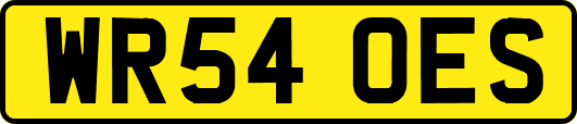 WR54OES