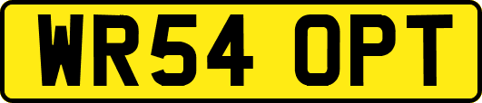 WR54OPT