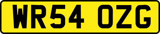 WR54OZG