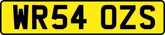 WR54OZS