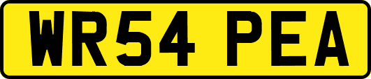WR54PEA