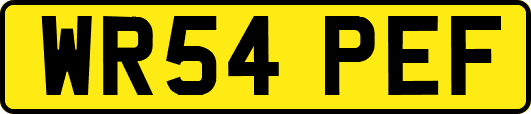 WR54PEF
